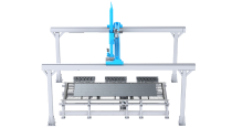 Gantry Sorting System